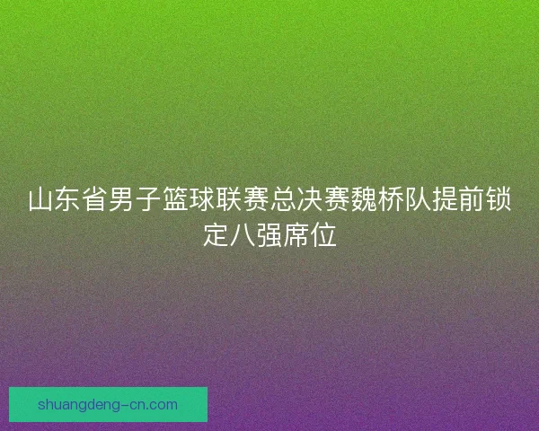 山东省男子篮球联赛总决赛魏桥队提前锁定八强席位